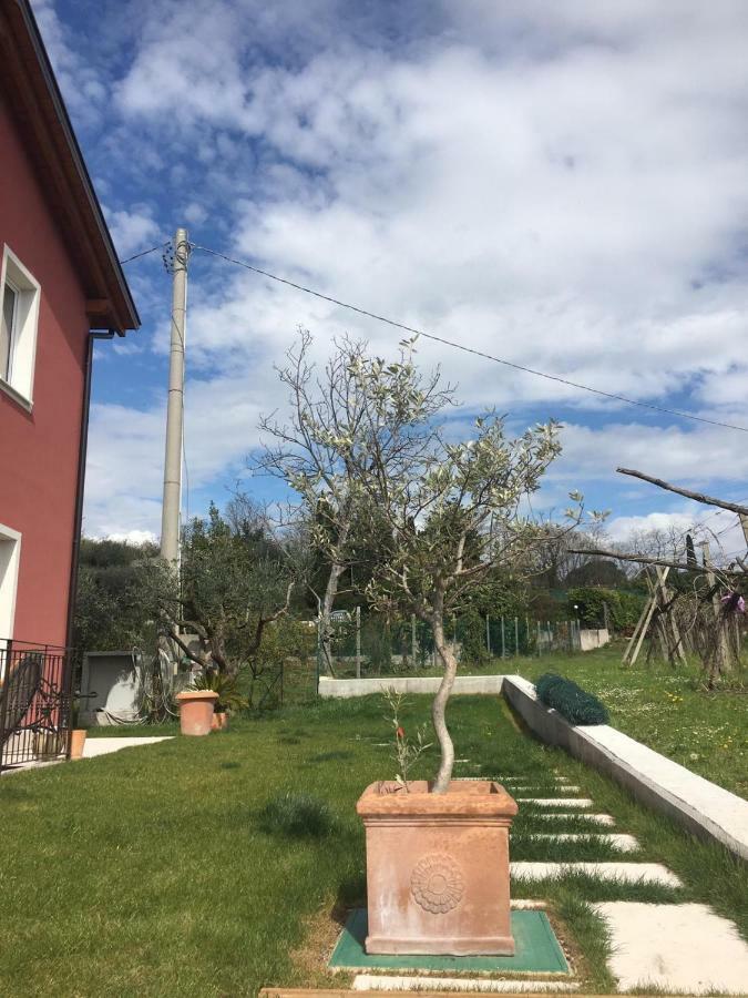 Residence Tasso Canossa - Appartamento Con Piscina Lazise Extérieur photo